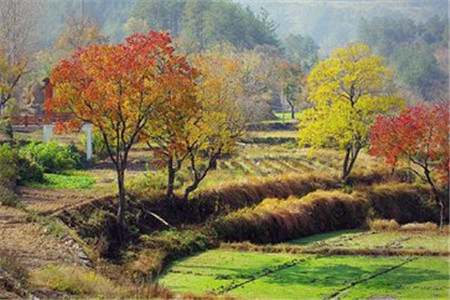 广东自考语文大学串讲笔记