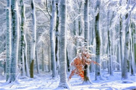 广东自考串讲笔记