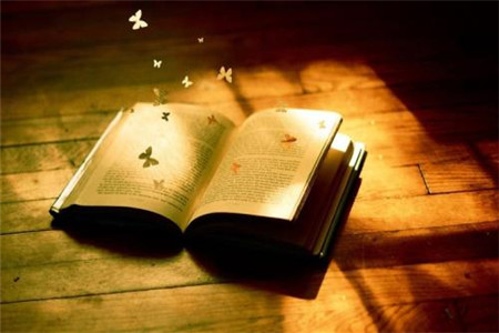 广东自考复习资料