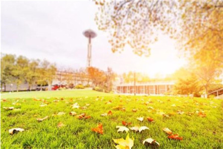 广东自考复习资料