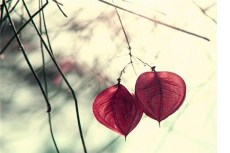 广东自考复习资料