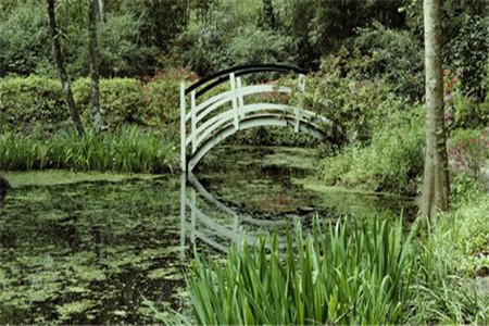 广东自考复习资料