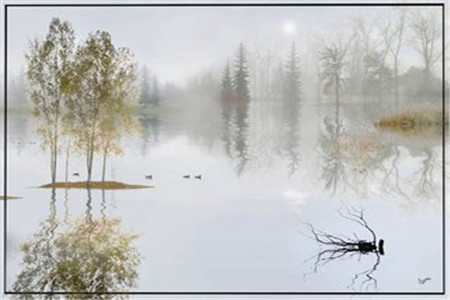 广东自考复习资料