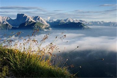 广东自考复习资料