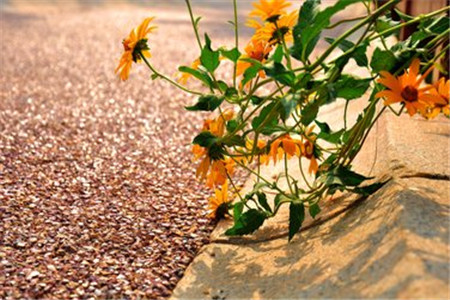 广东自考复习资料