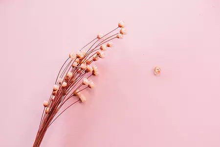 广东自考复习资料