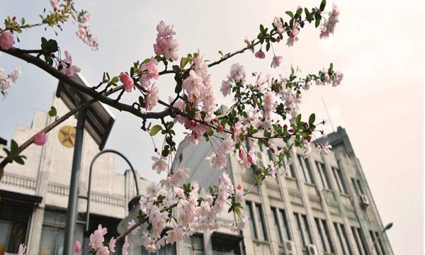 广东自学考试学历到底有没有用处呢