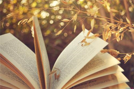 广东自学考试考生报考要怎么做，如何做好备考？