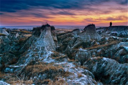 2020年广东自考申请毕业论文条件有哪些？