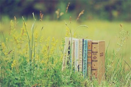 广东自考中修多少学分可以毕业?