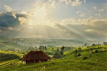 广东紫自考本科业余制怎么样？