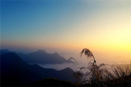 广东自学考试免考“大学英语”的条件有哪些？