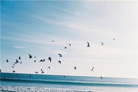 2020广东自考不好毕业的难点在哪里?