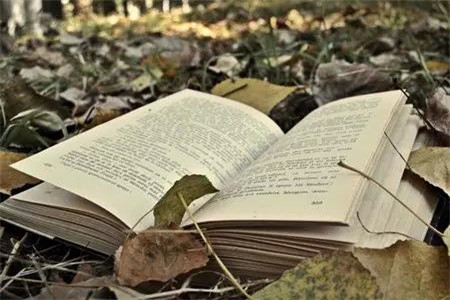 广东自考专科和本科可以一起吗?